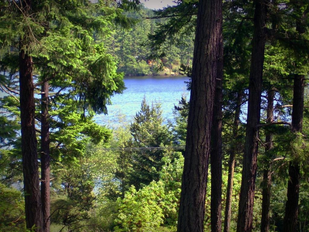 Inn To The Woods Friday Harbor Esterno foto